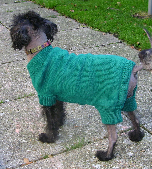 Onesie Sweater for small dogs