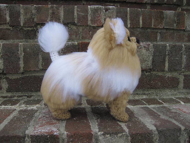 Pomeranian