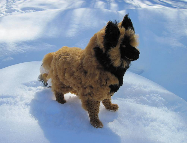 Belgian Tervuren