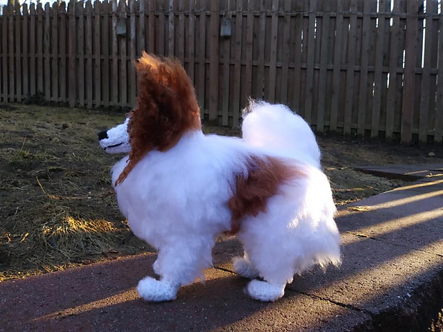 Papillon
