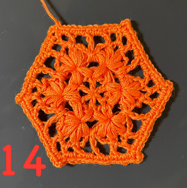 Steffis Hexies