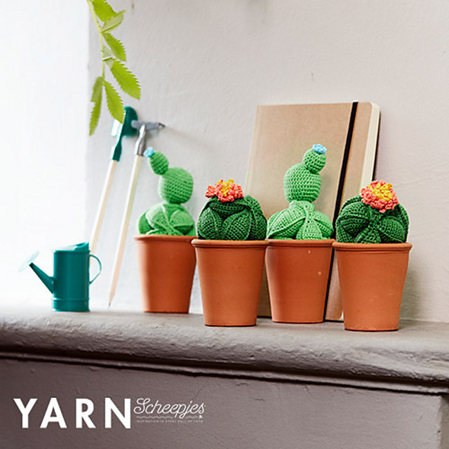 Cactus Puzzle Balls