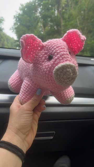 Mini Pigs
