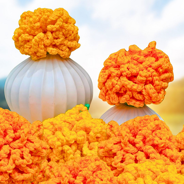 Giant Marigold