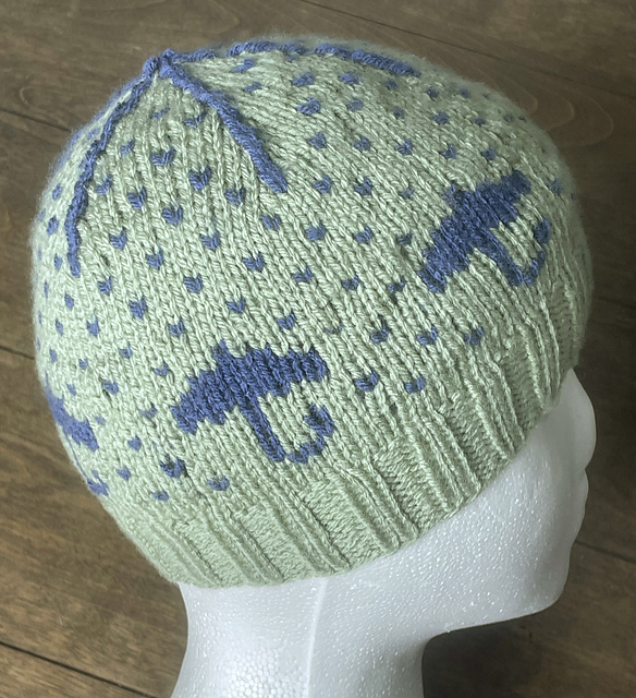 Rainy Day Hat