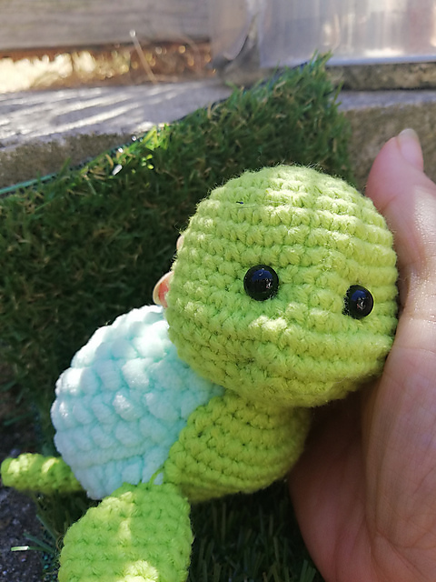 Turtle Sam