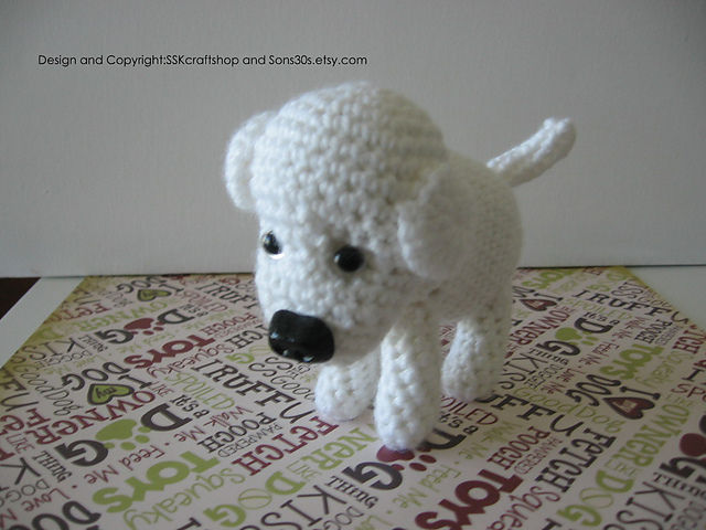 Dolchi the puppy