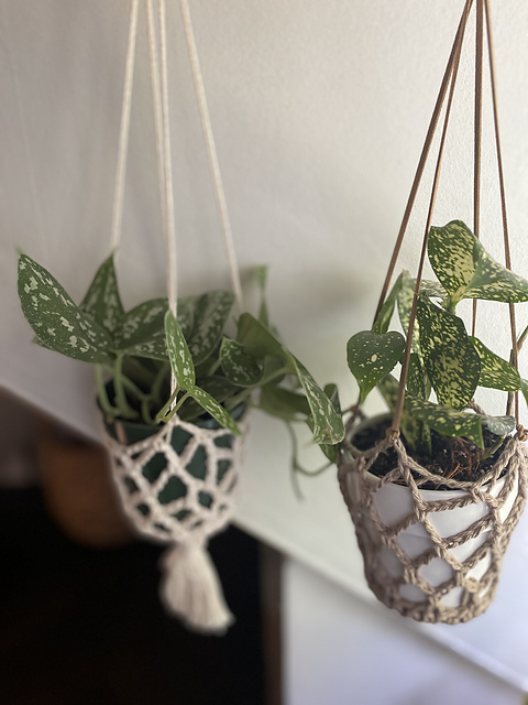 The Cozy Plant Duo