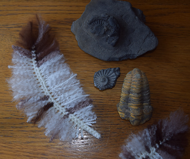 Feathers