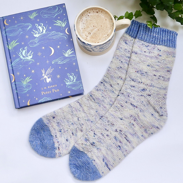 Winter Bird Socks