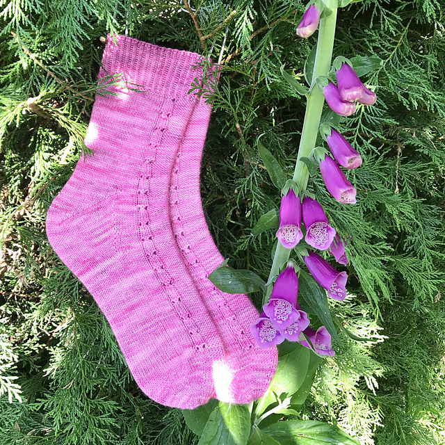 Foxglove Socks