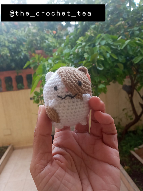 Baby Hamster