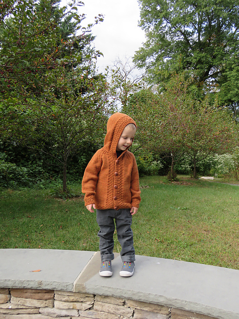 Ash Hoodie