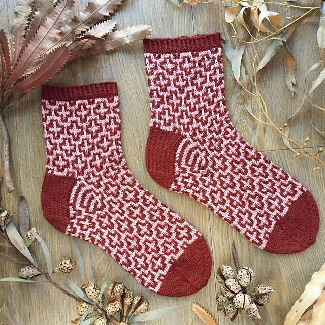 Certus Socks