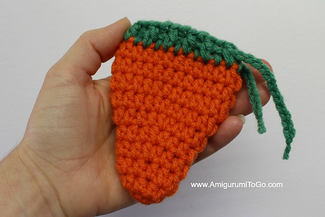 Small Carrot Pouch