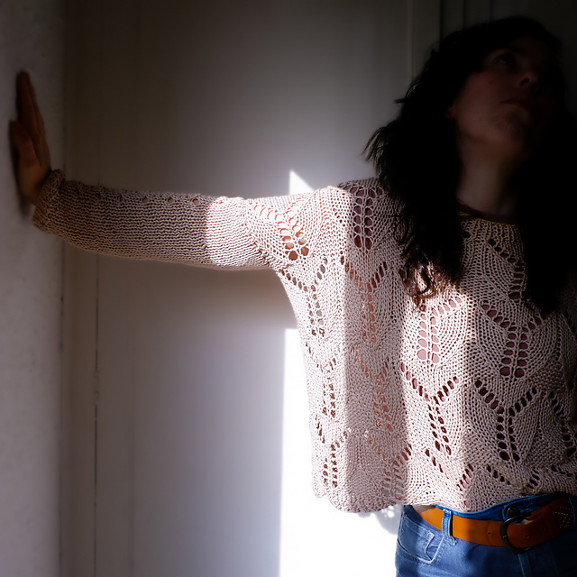 Wingy Sweater