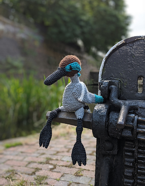 Arthur the Blue-Winged Teal