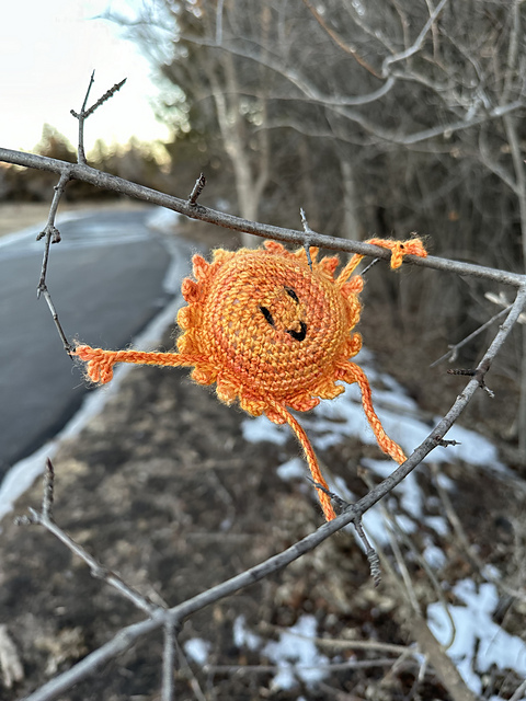 A Little Sunshine