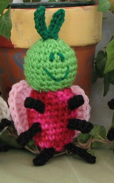 Butterfly Bug-a-boo