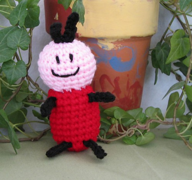 Lady Bug Bug-a-boo
