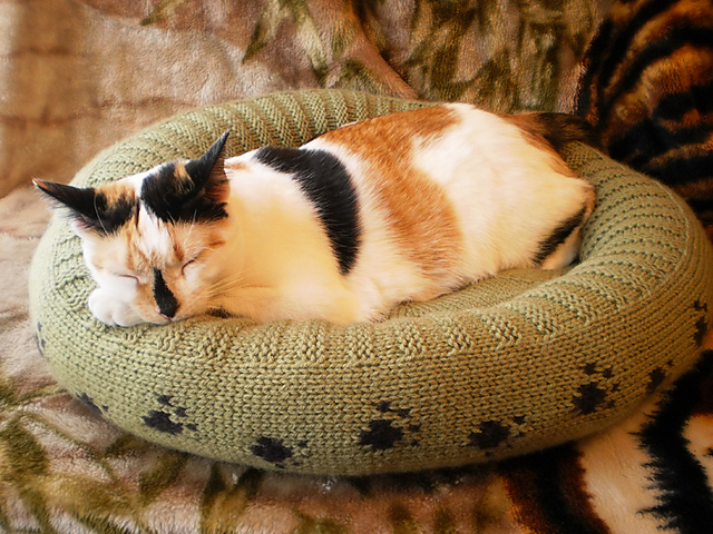 Plush Bed for a Cat or Dog