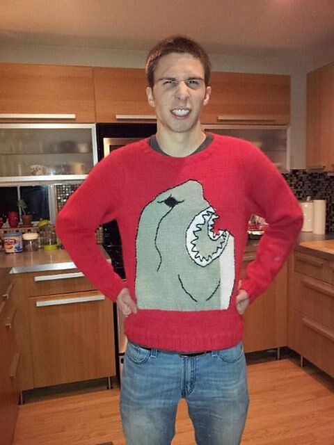 Shark Sweater
