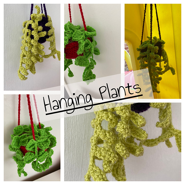 Hanging Plants