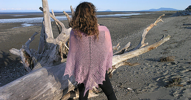 Moth Orchid Shawl