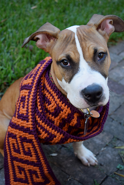Square Key Unisex Scarf