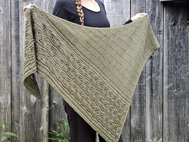 Dana Shawl