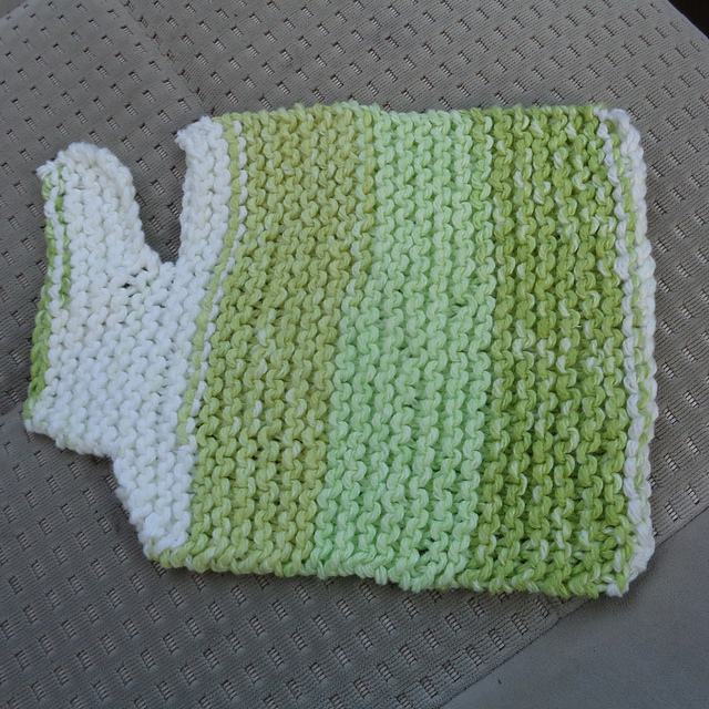 Washington Dishcloth