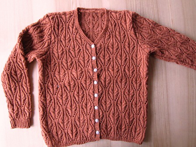 #1 Autumn Color Knit Cardigan