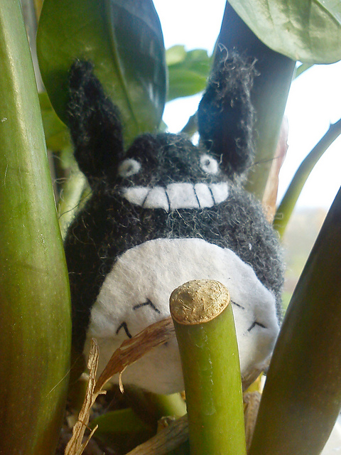 Simple Totoro
