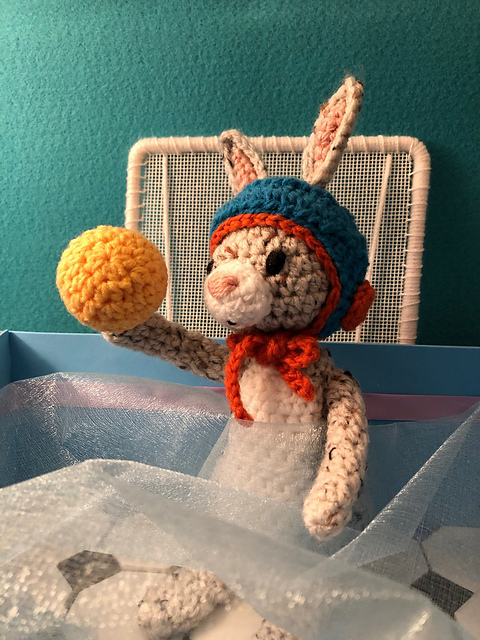 Water Polo Bunny: The Ball