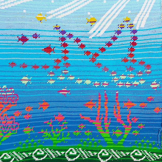 Rays and Shoals - A Coral Reef