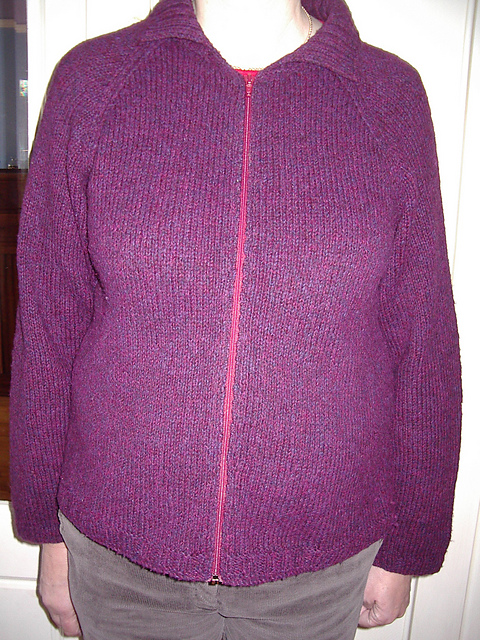 Zipped or Buttoned Jacket with Collar or Hood