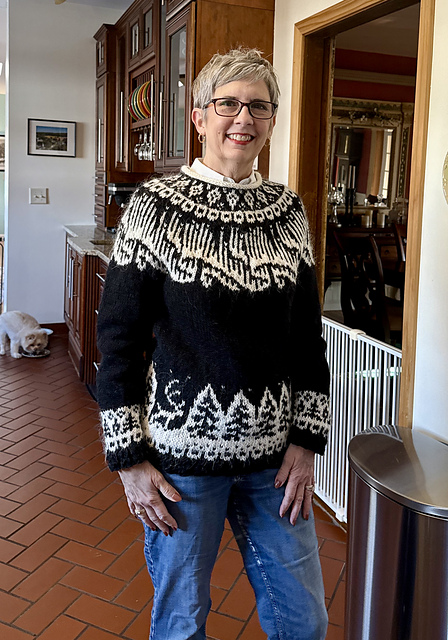 Ravelry: Silverknitteranne's Talviyo Winter's Night
