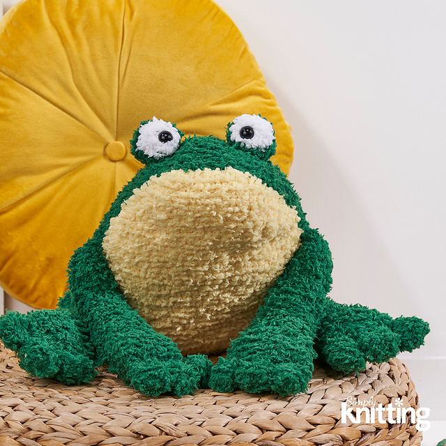 Meet Ribberto Frog