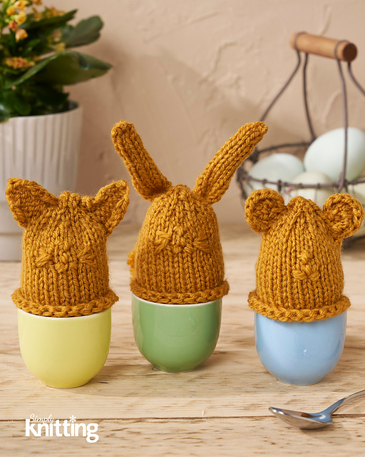 Egg Heads Cosies