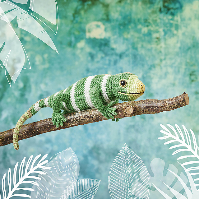 Fiji Banded Iguana