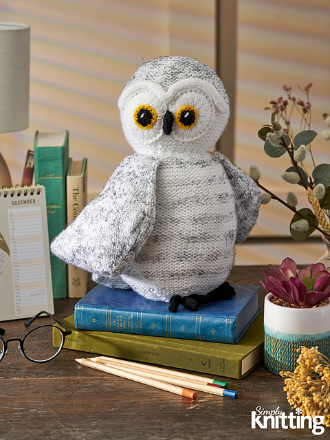 Twit-Twoo Snowy Owl