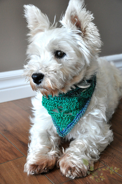 Rigby Scarf