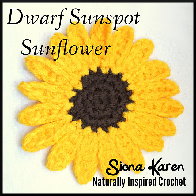 Dwarf Sunspot Sunflower