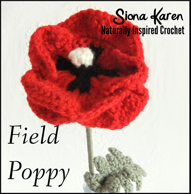 Red Field Poppy