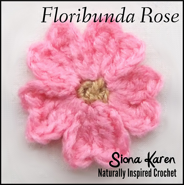 Floribunda Rose