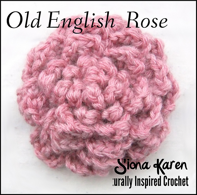 Old English Rose