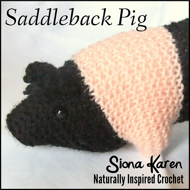 Saddleback Pig