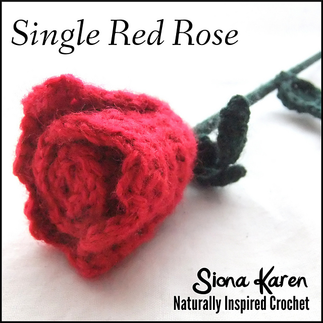 Single Red Rose