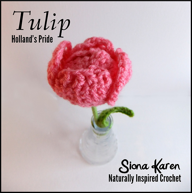 Tulip