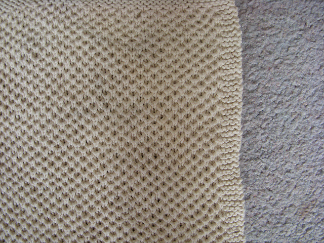 Bee Stitch Dishcloth